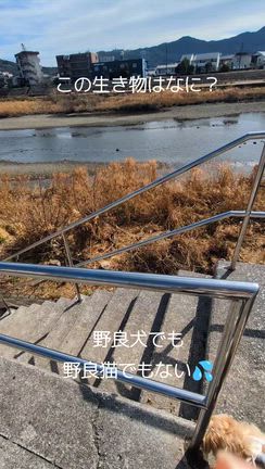☆ほんまに分からんかったわ(汗)☆の記事動画