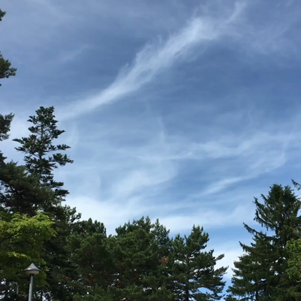 夏至の神社♪の記事動画