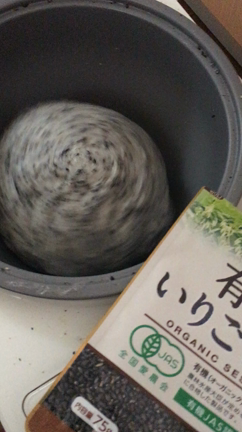 今日はお餅つき♪の記事動画