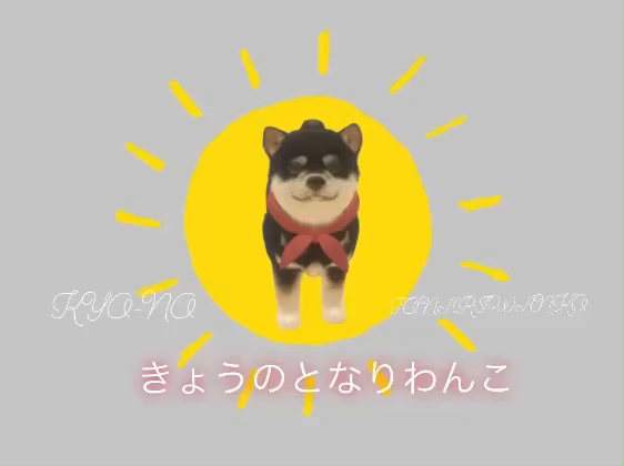 きょうのとなりわんこ⑥の記事動画