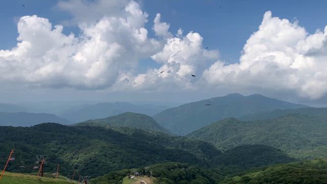 あ〜夏休み！の記事動画