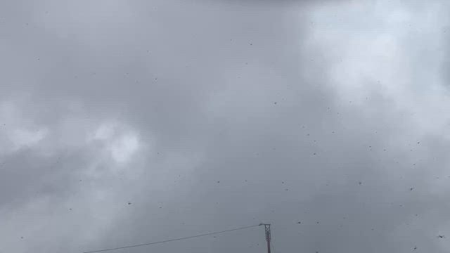 あ〜夏休み！の記事動画