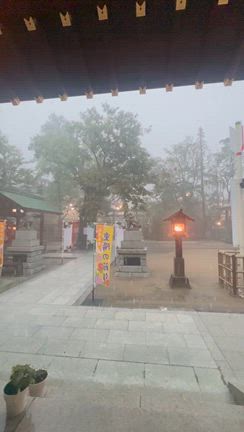 また龍神様を降臨させてしまいました〜東京都大田区・新田神社と四日市のくすのきパーキング〜の記事動画