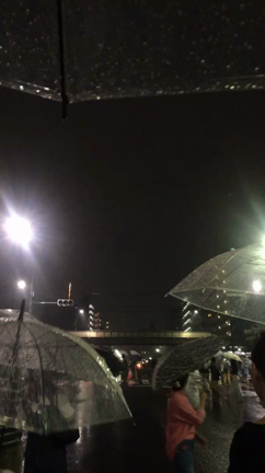 夏のはじまり？？の記事動画