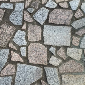 府中知ってる？の画像