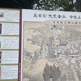 長めの動画の画像