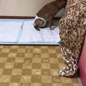 もうすぐの画像