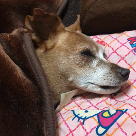 頑張ったねの画像