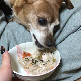 年越しそばの画像