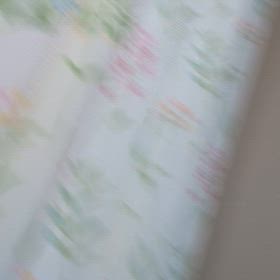 ツクツクボウシ?!明日から10月ですよ？の画像