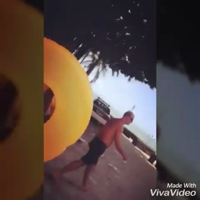 ハワイの動画の画像