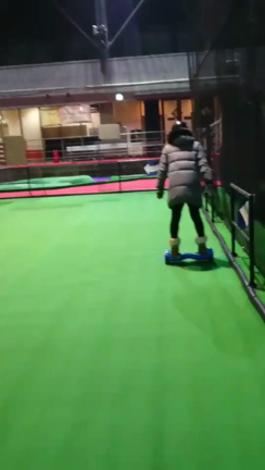 バランススクーターヽ(*≧ω≦)ﾉの記事動画