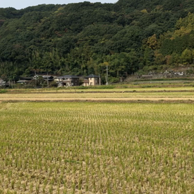 里の秋の画像
