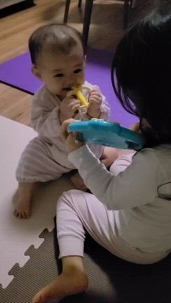 はみがきお手伝いの記事動画