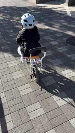 自転車ブームの記事動画