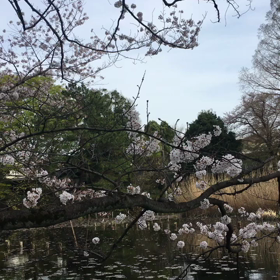 【 断捨離 】おクスリ編の画像