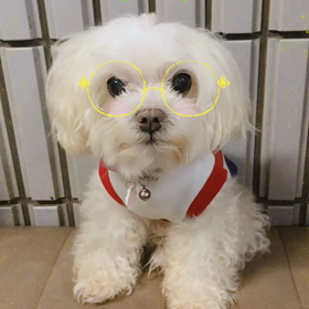 メガネくぅーたん似合ってる⁉️の画像