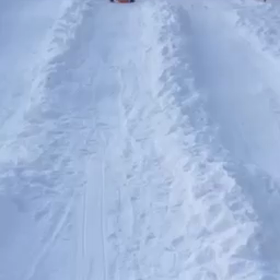 動画貼れた☆の画像