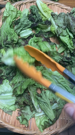 「干しレタス」ってなんだ？の記事動画