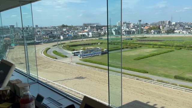浦和競馬場　レース中のリアルな生声の記事動画