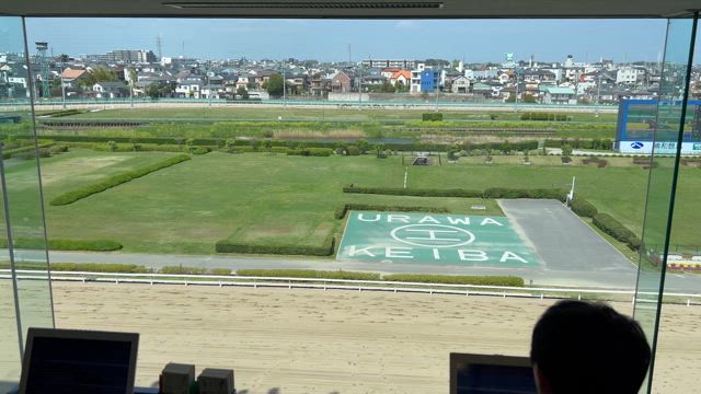 浦和競馬場　レース中のリアルな生声の記事動画