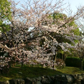 2015/03/30の画像