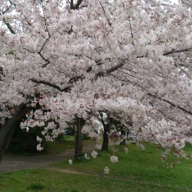 2015/04/04の画像