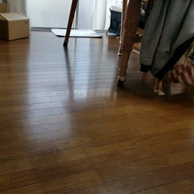 聞こえてる！？来てくれた！？の画像