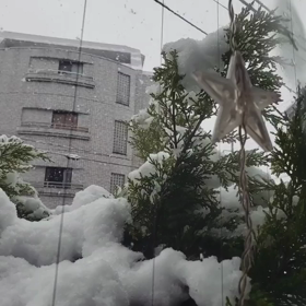 三月の雪( ﾟДﾟ)の画像