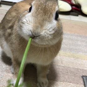 吸い込まれるの画像