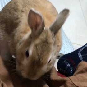 ママ〜の画像