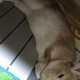 たまらんの画像