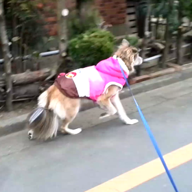 暴走中の画像