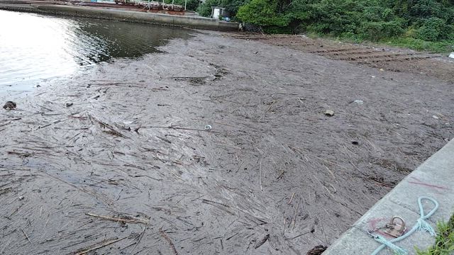今の久津漁港!!の記事動画