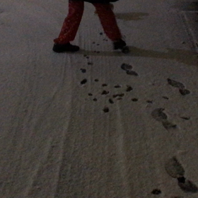 産まれて初めての雪でし！の画像