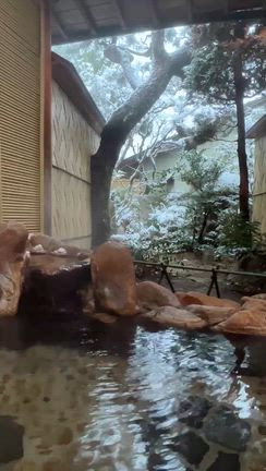 足立美術館様の紅葉情報！ばけばけで盛り上がる島根県よりの記事動画