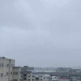 雪の静けさの画像