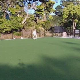 dog run と　ウグイスの画像