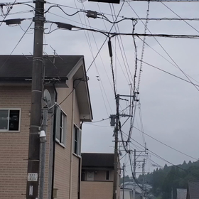 今年もの画像