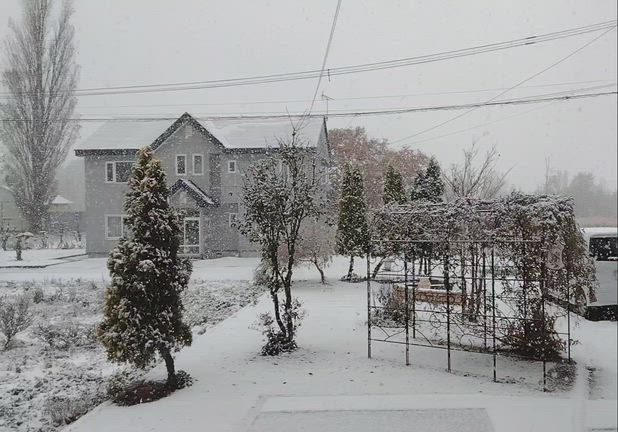 雪が降りました（；´д｀）ゞの記事動画