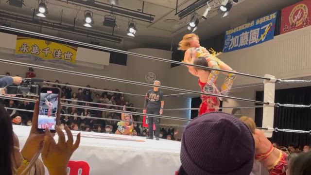 ☆4/1更新～花巻女子プロレス祭り メインの記事動画