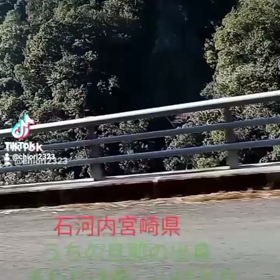旦那さんの古里の画像