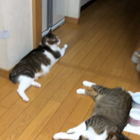 ジム活となんとなく仲良くなって来た？の画像