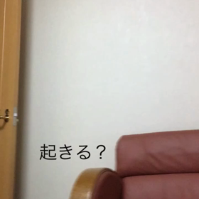 今朝の驚き。チップとデールの字幕付き動画の画像