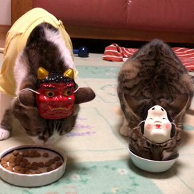 蕁麻疹女子の大好きなものやめたら！ニャンズの節分の日の夕食動画。の画像