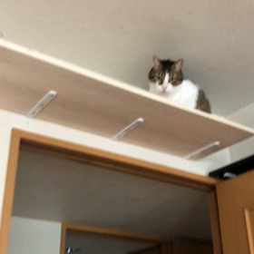 昨日デールと私が落ち込んだ出来事。の画像