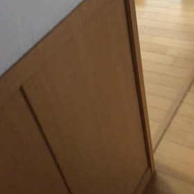 なだめながらおだてながら…がんばれ！がんばれ！。猫デールごめん。の画像