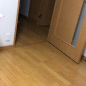 ヤマト糊、デールの不気味な夜泣き動画！の画像