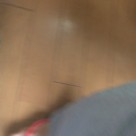 お散歩、何の日？、コバエが….、チップ君のおねだり。の画像