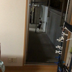 今日のジム活と、またまた娘の悩み勃発！デールダメだよ〜の画像